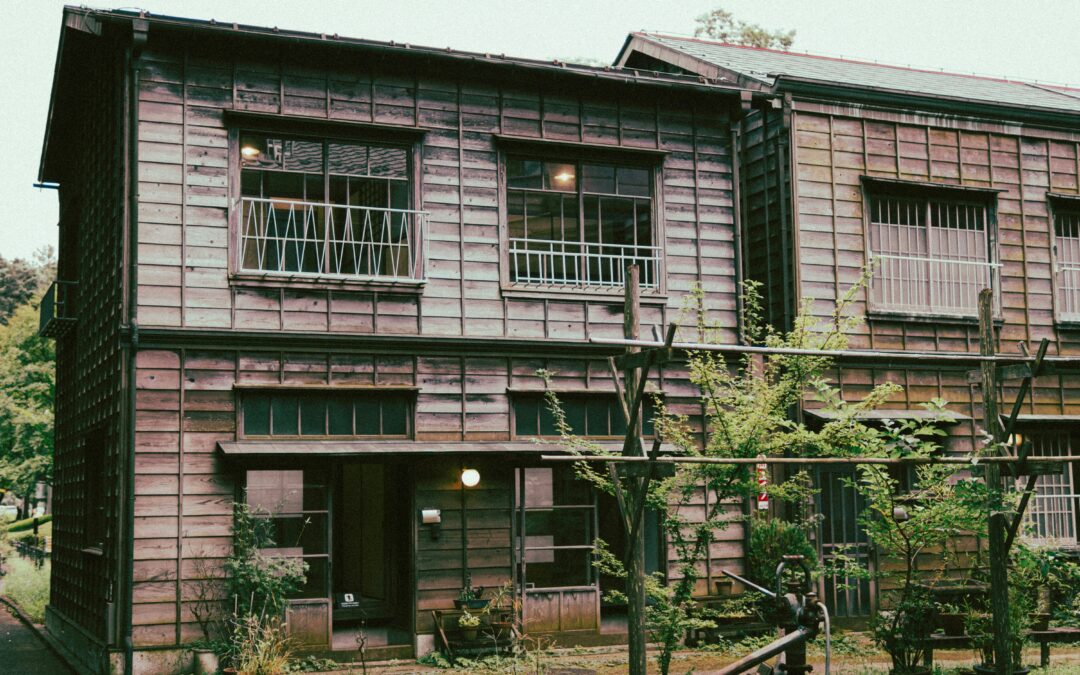The Hostel That Taught Me More About Life Than Any University Degree